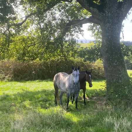 A La Mare Du Vieux Chene Frühstückspension Bellegarde-Poussieu