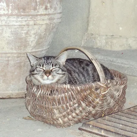 A La Mare Du Vieux Chene Oda ve Kahvaltı *